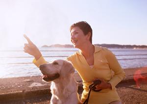 信頼の土日祝日対応！アサンテのシロアリ駆除サービスで安心の住環境を実現